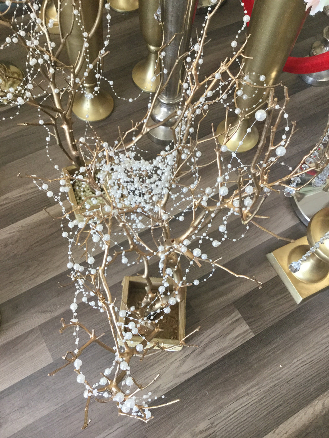 Hanging Pearls