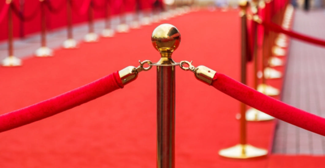 Crowd Control Barrier with Rope