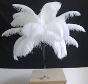 Feather Arrangement